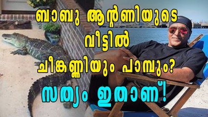 ബാബു ആന്റണിയുടെ വീട്ടില്‍ ചീങ്കണ്ണിയും പാമ്പും? | Filmibeat Malayalam