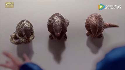 Jackie Chan called to stop the extermination of pangolins
