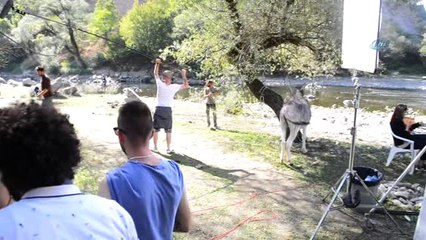 Usta Yönetmen Onur Tan'dan Sımsıcak Bir Aile Filmi: "Bal Kaymak"