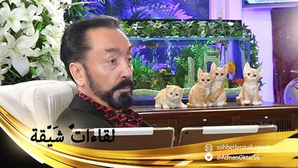 القلوب لا تجد السكينة الحقيقية إلا مع الثقة في الله