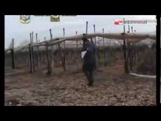 Download Video: TG 11.03.14 Falsi braccianti agricoli, coinvolti anche commercialisti e consulenti del lavoro