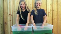 ALS Ice Bucket Challenge ~ Jacy and Kacy ~ From Craft Life