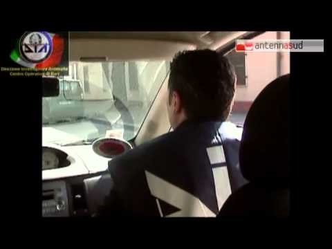 TG 21.03.14 Bari, confiscati beni per 1,5 milioni. Sigilli ad allevamento di cavalli