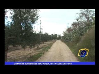 Campagne nordbarese senz'acqua, tutta colpa dei furti