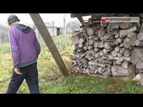 TG 29.04.14 Terreni agricoli ai giovani, un bando della Regione