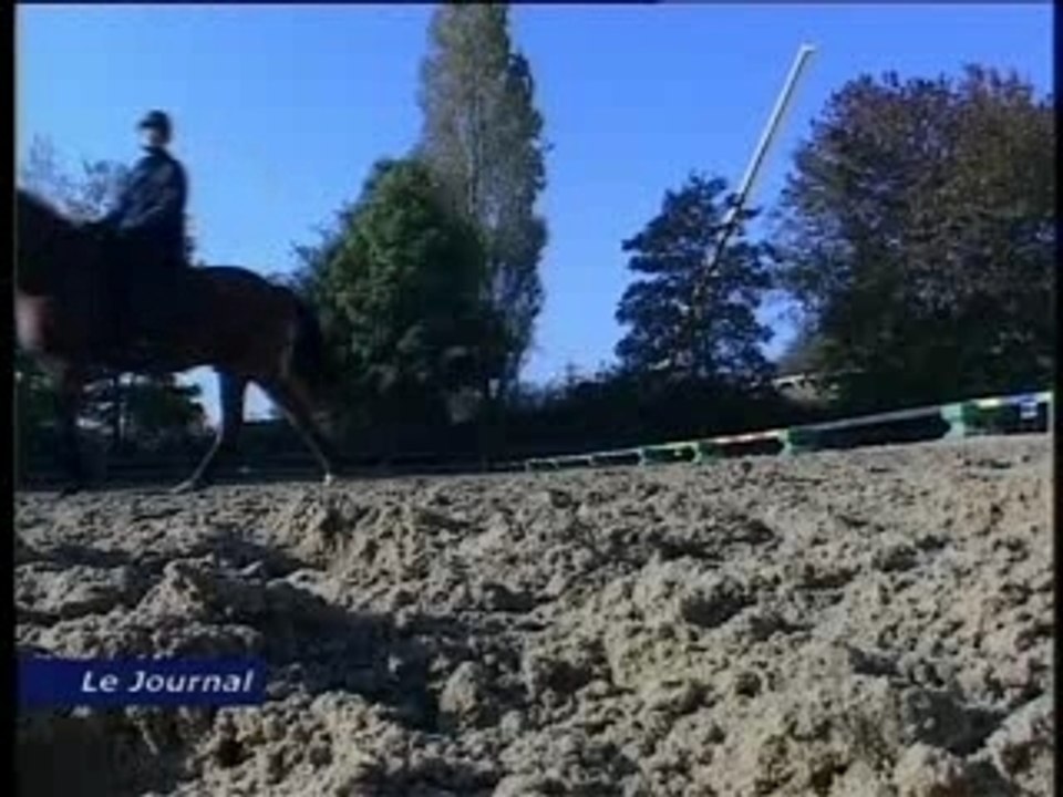 Stage de dressage à Andilly