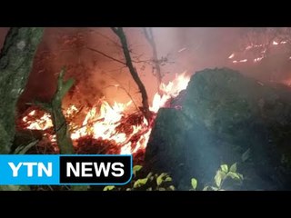 청계산 화재...아침 안개로 진화 어려움 / YTN
