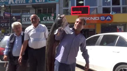 Kars'ta 40 Kiloluk Yayın Balığı Yakalandı