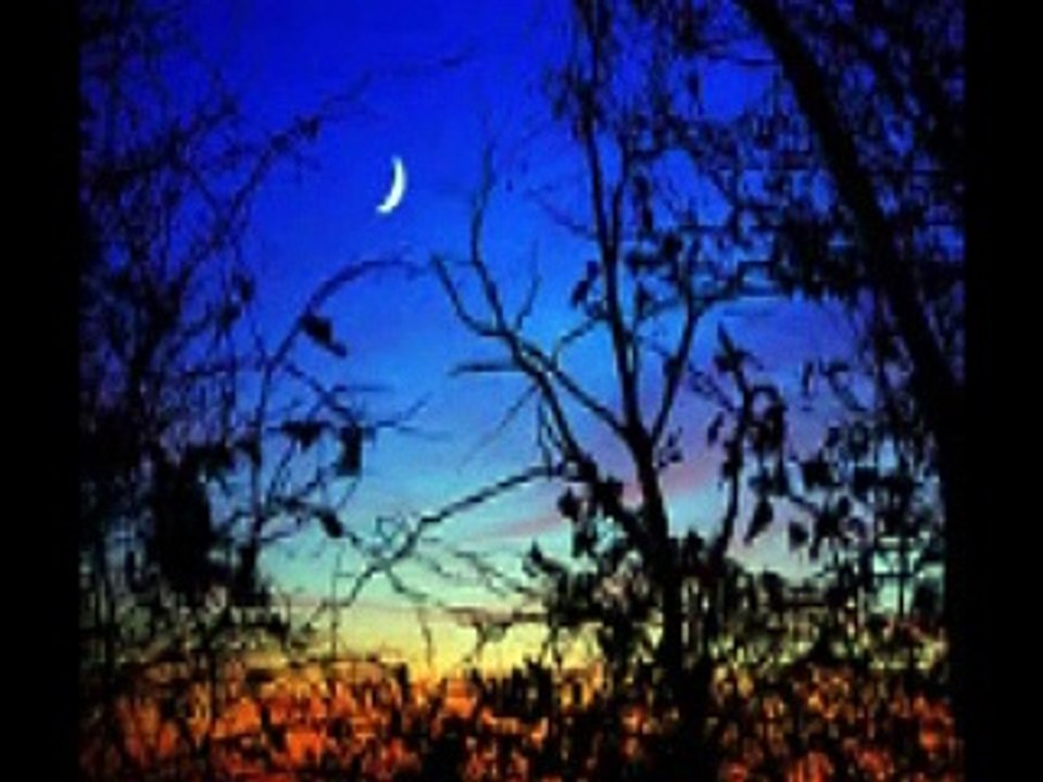 セ・ラムール (すべてが愛のために） C'est l'amour (エディット・ピアフ Edith PIAF) シャンソン / 訳詞初稿 Sima