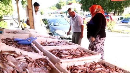 Türkiye'de Balık Tüketimi Dünyanın Gerisinde