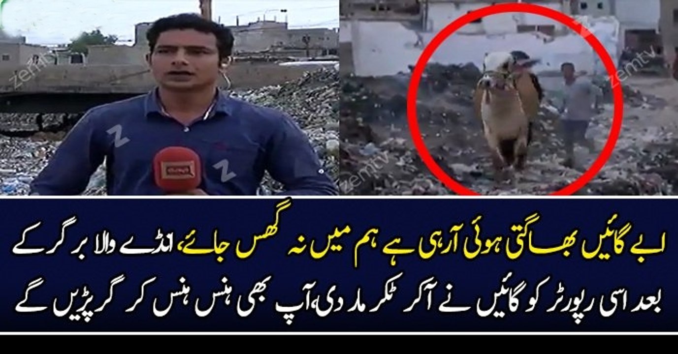 Andy wala burger ..news reporter Another Viral Video
