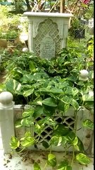 Meena Kumaris Grave Shia Cemetery Rehmatabad