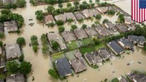 Where will Houston's floodwaters will go after Hurricane Harvey?