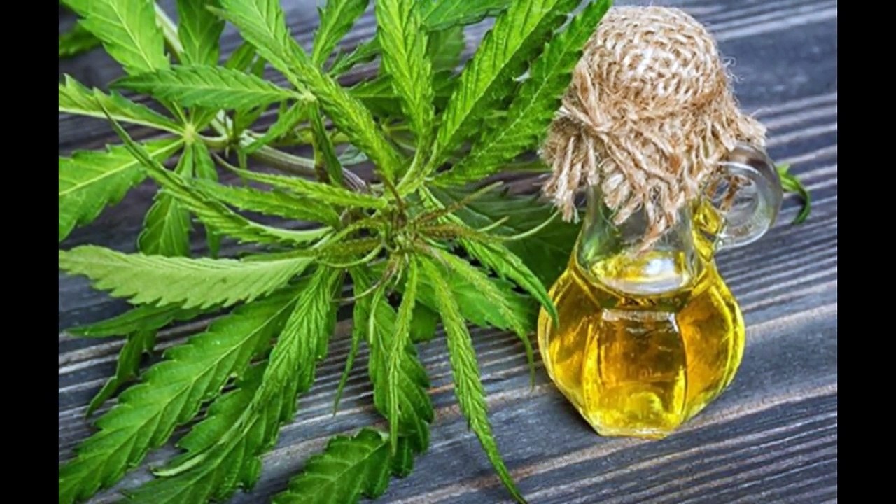 DIVINE CBD OIL
