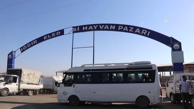 Kurban Pazarlarında Arife Yoğunluğu