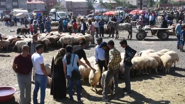 Kurban Pazarlarında Arife Yoğunluğu - Kars