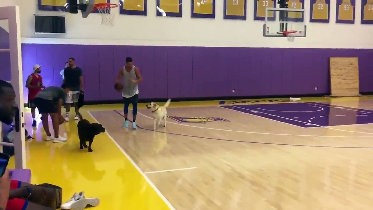 Klay Thompson joue au basket contre... des chiens