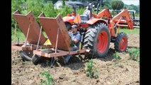 We Planted 1000 green giants in this field in one day