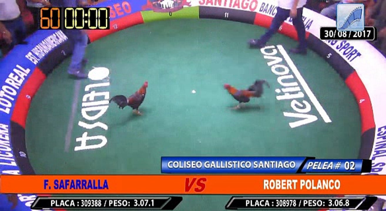 02-SAFARRALLA VS ROBERT POLANCO SG-30-08-2017