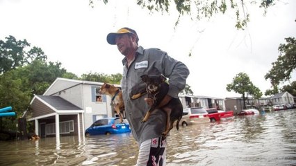 Heroes Of Hurricane Harvey