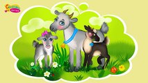 Niños para animales divertidos dibujos animados educativos diagrama de punto de los más pequeños