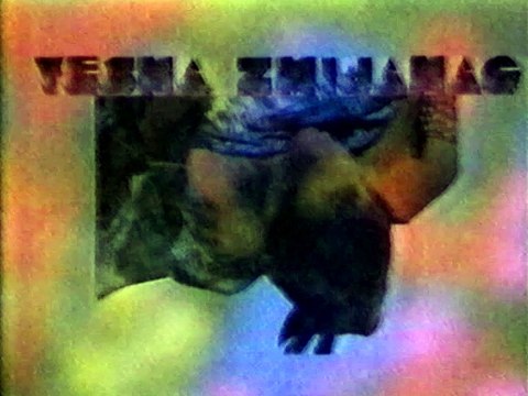 Vesna Zmijanac - Grom te ubio