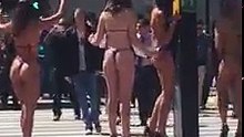 Condutor distrai-se com mulheres em bikini junto à estrada e acaba por bater com o carro