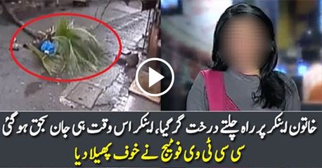 Anchor Dies After Tree Falls On Her