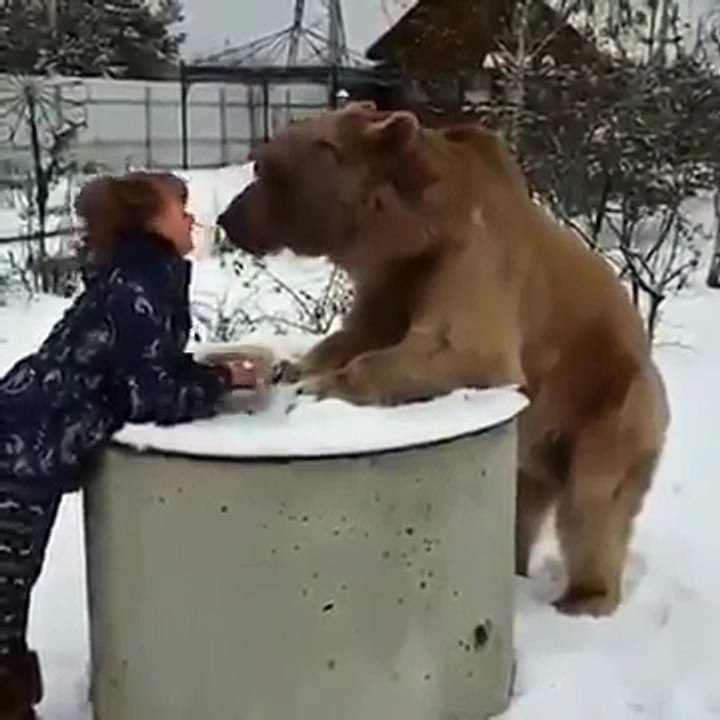 ❤️ شاهد كيف تطعم هذه الفتاة الدب المفترس ❤️ سبحان الله