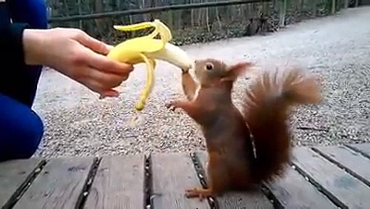 ❤️ سبحان من زرع الرحمة في القلوب ❤️ سبحان الله