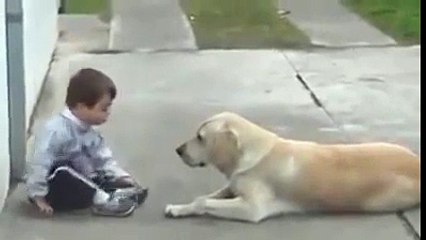 ❤️ ️سبحان من زرع الرحمة في قلوب هذه الكائنات