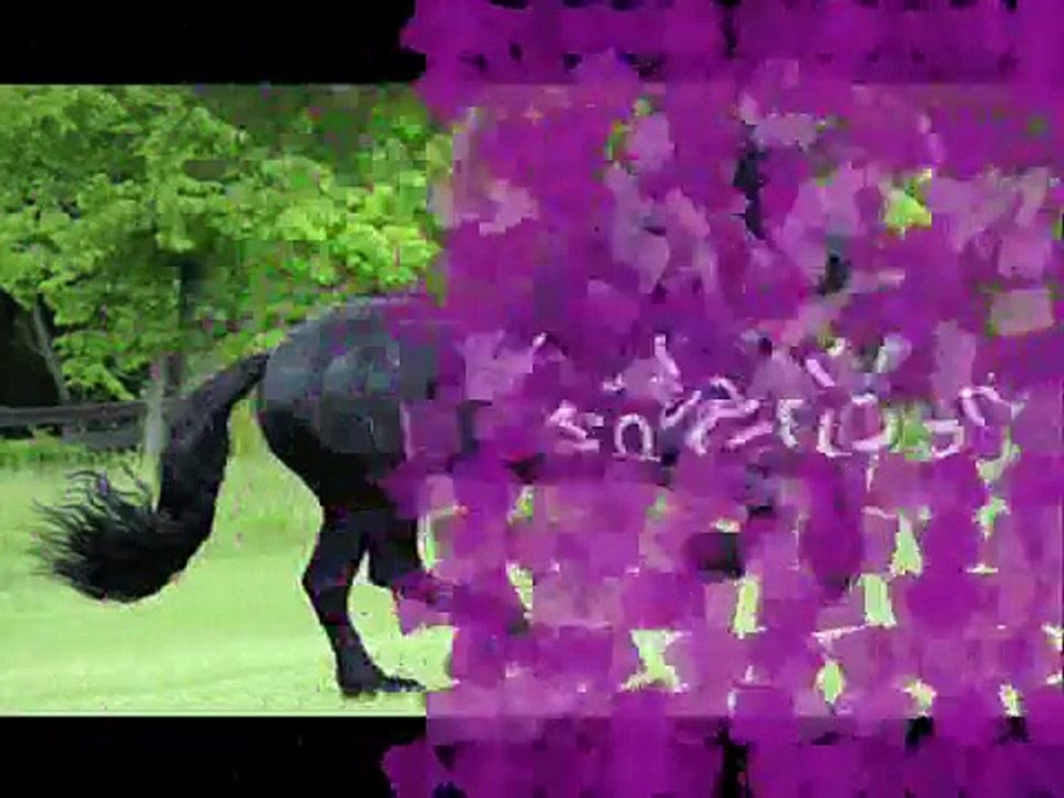 ❤️أجمل 10 حيوانات في الكون ❤️سبحان الله الخالق