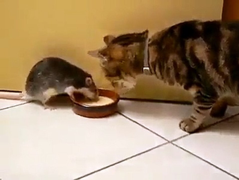 ❤️تحدي الشجاعة على صحن العشاء ههههه ❤️سبحان الله (1)