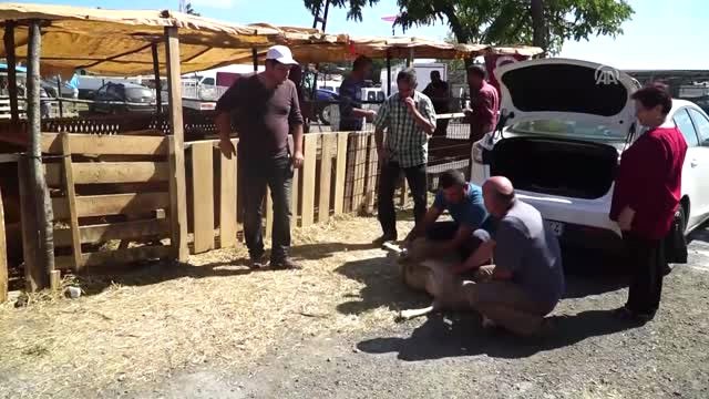 Kurban Pazarında Arife Günü Hareketliliği