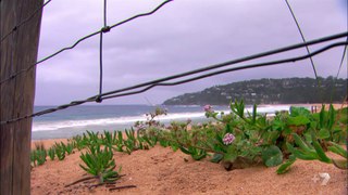 Home and Away 6723 31st August 2017 HD 720p