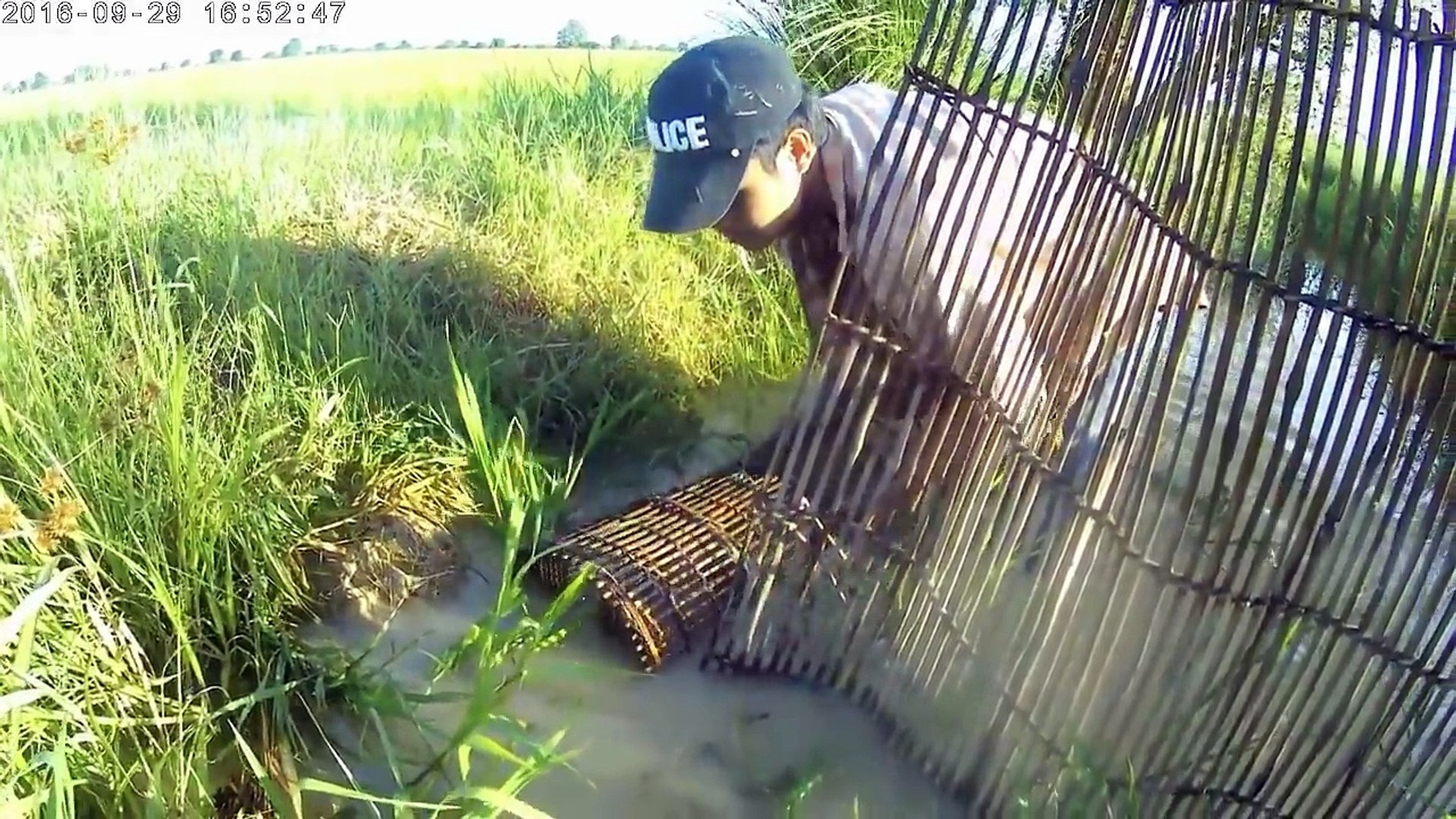 Net Fishing at Pailin Province - Cambodia Traditional Fishing - Khmer Cast Net Fishing
