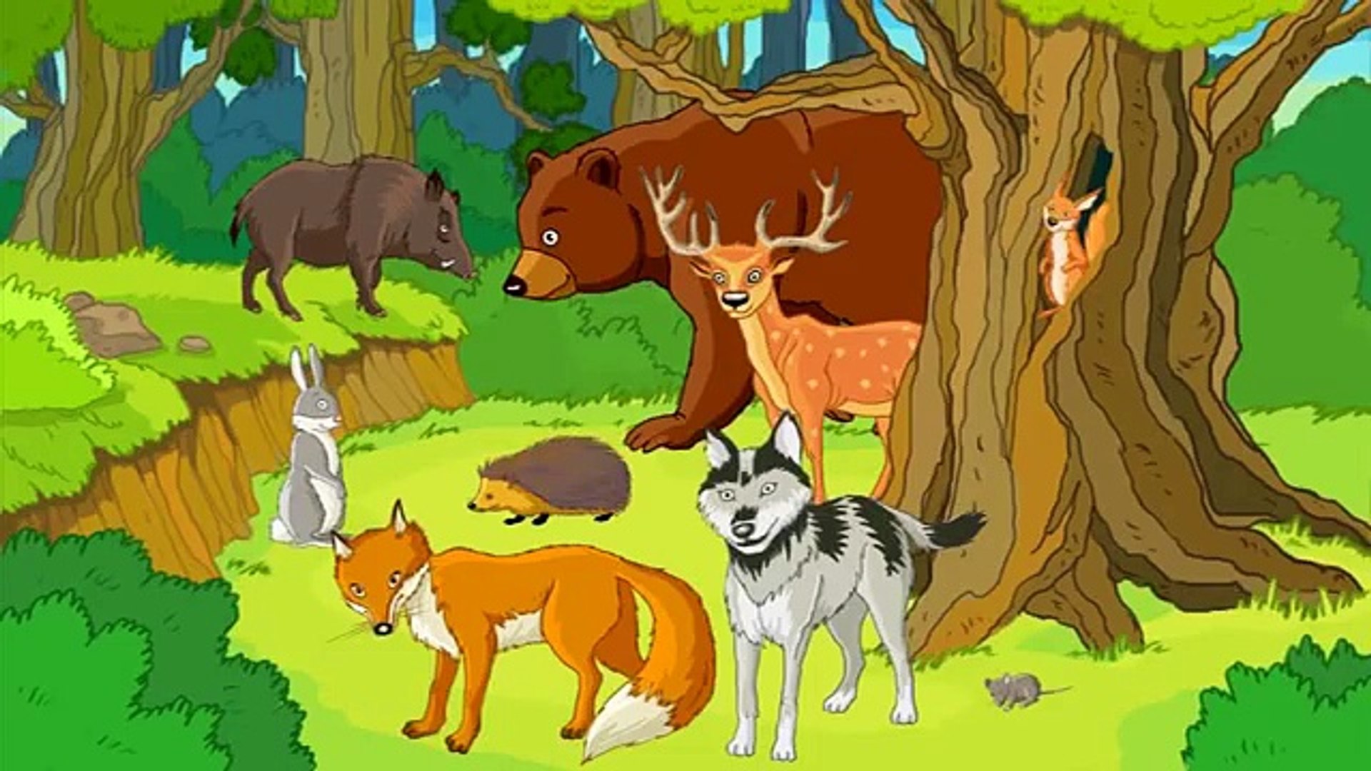 Звуки лесных обитателей. Мультяшный лес с животными. Лесные звери для детей. Лесные животные мультяшные. Животные леса для дошкольников.
