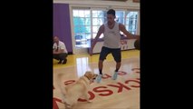 Klay Thompson Plays 1v1 Against a DOG