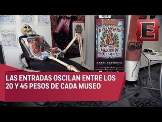 Cinco museos que salen de lo convencional en la CDMX
