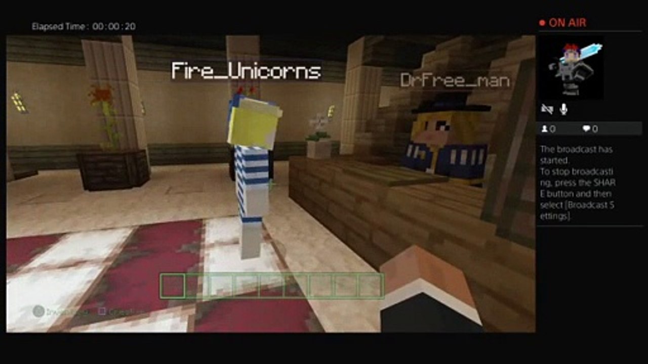 Minecraft pros (59)