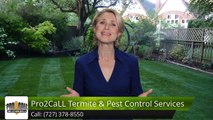Pest Control and Lawn Spraying Seminole FL - Pro2Call Termite & Pest Control - Seminole FL