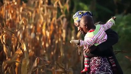 How This Global Crop is Going Local | Monsanto