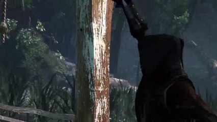 Assasin creed (6)