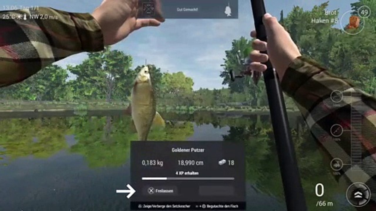 Dibraniboss der fischer (3)