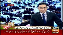 Punjab police takes sacrificial goats in business vehicles