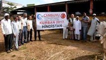 Cansuyu, Hindistan'da Kurban Bayramı'na Hazır - Hindistan