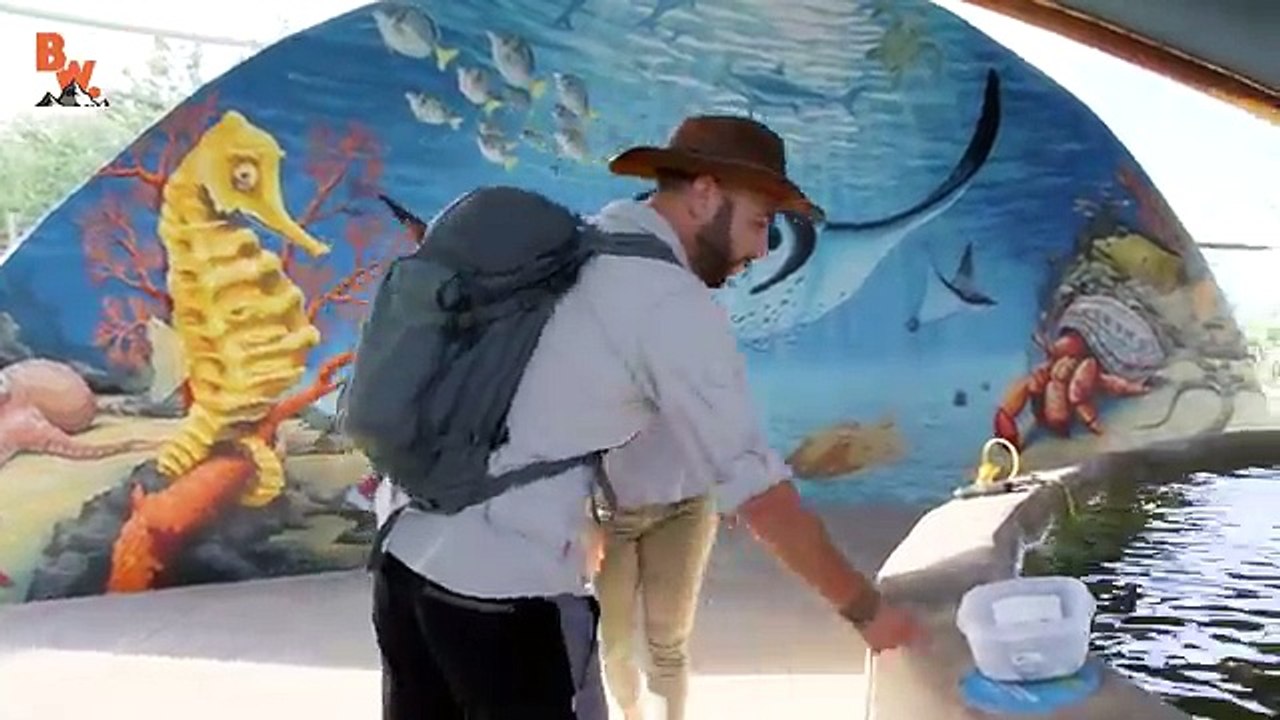 Alimentation frais galuchat pastenagues réservoir le le le le la eau