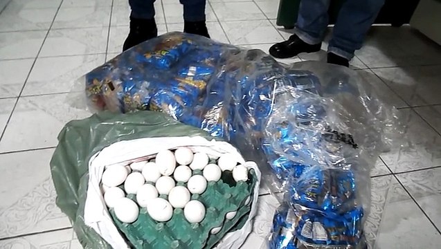 HOMENS SUBTRAEM PIPOCA E OVO EM PANELAS-PE - MATÉRIA COMPLETA