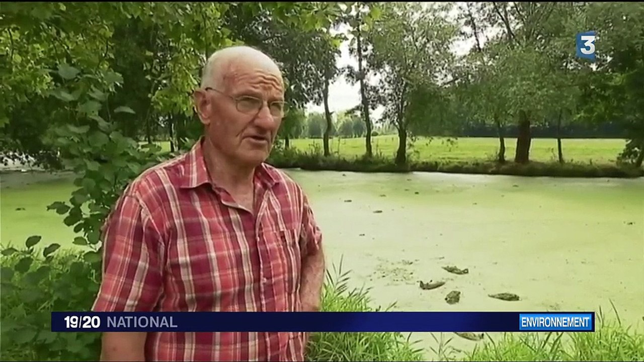 Rennes : la pollution d'une rivière par Lactalis tue des tonnes de poissons