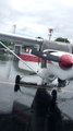 Un écureuil en colère réfugié dans le moteur d'un avion